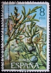 Stamps : Europe : Spain :  Sabina albar / Juniperus thurifera