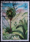 Stamps Europe - Spain -  Palma / Phoenix canariensis