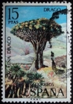 Stamps Spain -  Drago / Dracaena drago