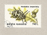 Stamps Romania -  Hedobis imperialis