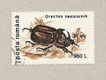 Sellos de Europa - Rumania -  Oryctes nasicornis
