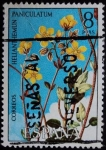 Stamps Spain -  Heliamthemum paniculatum