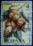 Stamps Spain -  Castaño / Castanea sativa