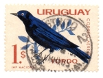 Stamps Uruguay -  AVES