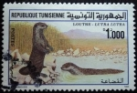 Stamps Tunisia -  Nutria