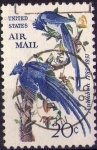 Stamps United States -  Audubon