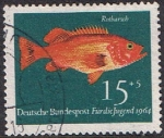 Stamps Germany -  PRO JUVENTUD. PECES