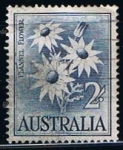 Stamps Australia -  Scott  327  Margaritas