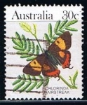 Stamps Australia -  Scott  875A  Chlorinda Hairstreak