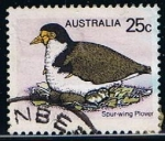 Sellos de Oceania - Australia -  Spur-Wing plover