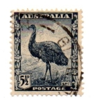 Stamps : Europe : Australia :  FLORA Y FAUNA