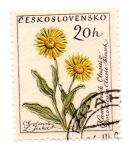 Stamps : Europe : Czechoslovakia :  FLORES