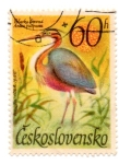 Stamps Czechoslovakia -  AVES