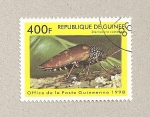 Sellos de Africa - Guinea -  Sternocera castanea