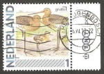 Sellos de Europa - Holanda -  ave godwit
