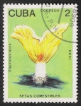Stamps Cuba -  SETAS-HONGOS: 1.134.011,01-Pleurotus levis -Phil.48257-Dm.989.5-Y&T.2907-Mch.3257-Sc.3094
