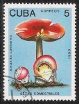 Sellos del Mundo : America : Cuba : SETAS-HONGOS: 1.134.013,01-Amanita caesarea -Phil.48259-Dm.989.7-Y&T.2909-Mch.3259-Sc.3096