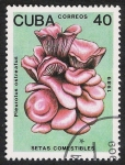 Stamps Cuba -  SETAS-HONGOS: 1.134.015,01-Pleurotus ostreatus (marron) -Phil.41723-Dm.989.9-Y&T.2911-Mch.3261-Sc.30