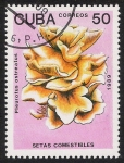 Stamps Cuba -  SETAS-HONGOS: 1.134.016,01-Pleurotus osteatus (amarillo) -Phil.41724-Dm.989.10-Y&T.2912-Mch.3262-Sc.