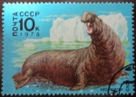 Stamps Russia -  Elefante marino
