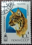 Stamps Russia -  50 Aniversario del Zoo de Tallin