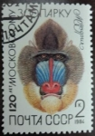 Stamps Russia -  125 Aniversario del Zoo de Moscú / Mandril