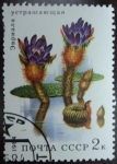 Stamps Russia -  Frightening Evriala