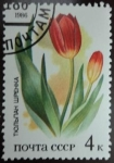 Stamps Russia -  Tulipán