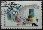 Stamps : Europe : Russia :  Lechuza blanca del Artico / Nyctea scandiaca