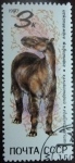 Stamps Russia -  Chalicotherium