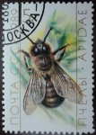 Stamps Russia -  Abeja