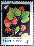 Stamps Russia -  Morera