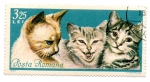 Stamps : Europe : Romania :  -FLORA Y FAUNA-