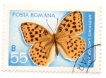 Stamps : Europe : Romania :  FLORA Y FAUNA-