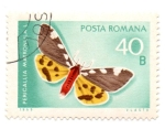 Stamps Romania -  -FLORA Y FAUNA-