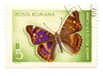 Sellos de Europa - Rumania -  FLORA Y FAUNA