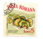 Stamps Romania -  FLORA Y FAUNA