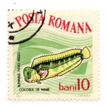 Stamps : Europe : Romania :  FLORA Y FAUNA