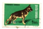 Stamps : Europe : Romania :  FLORA Y FAUNA
