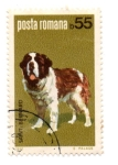 Stamps Romania -  FLORA Y FAUNA