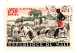 Sellos de Africa - Mali -  AFRICA-AGRICULTURA