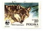 Stamps : Europe : Poland :  FLORA Y FAUNA