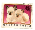 Stamps : Europe : Hungary :  FLORA Y FAUNA
