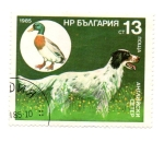 Stamps Asia - Azerbaijan -  FLORA Y FAUNA