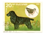 Stamps : Asia : Kazakhstan :  FLORA Y FAUNA