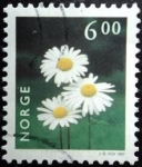 Stamps Norway -  Flowers