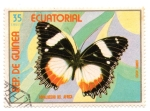 Stamps : Africa : Equatorial_Guinea :  AEREO