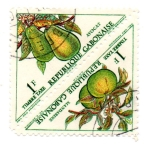 Stamps : Africa : Gabon :  CENTRO-OESTE DE AFRICA-TIMBRE TAXE