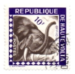 Stamps Africa - Central African Republic -  HAUTE VOLTA-TIMBRE OFICIAL