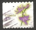 Sellos de America - Canad� -  2487 - flor, una orquídea